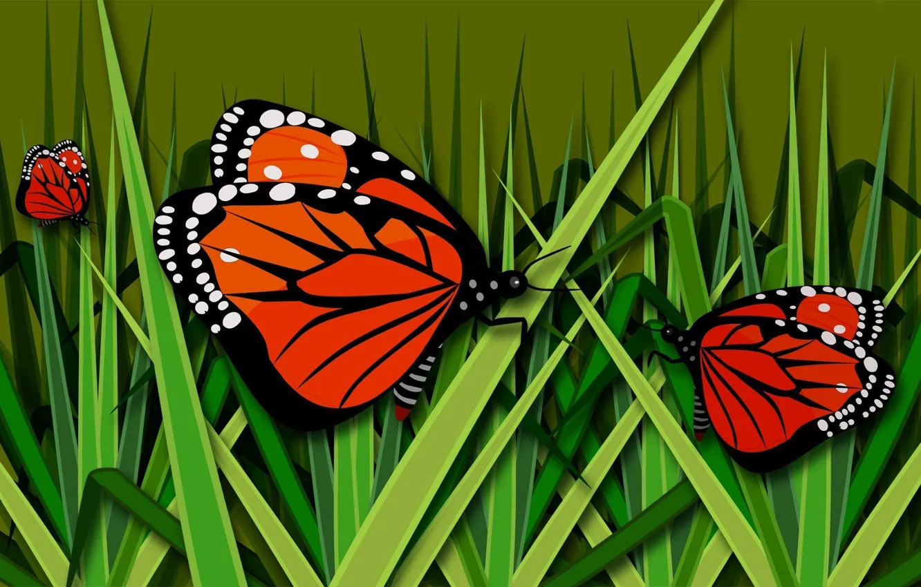 Photo wallpaper grass, butterfly, figure, vector