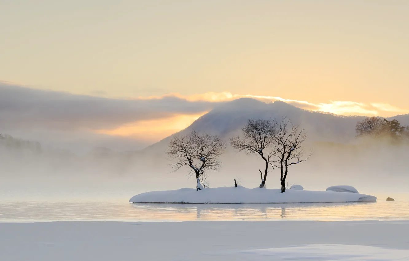 Photo wallpaper winter, fog, morning