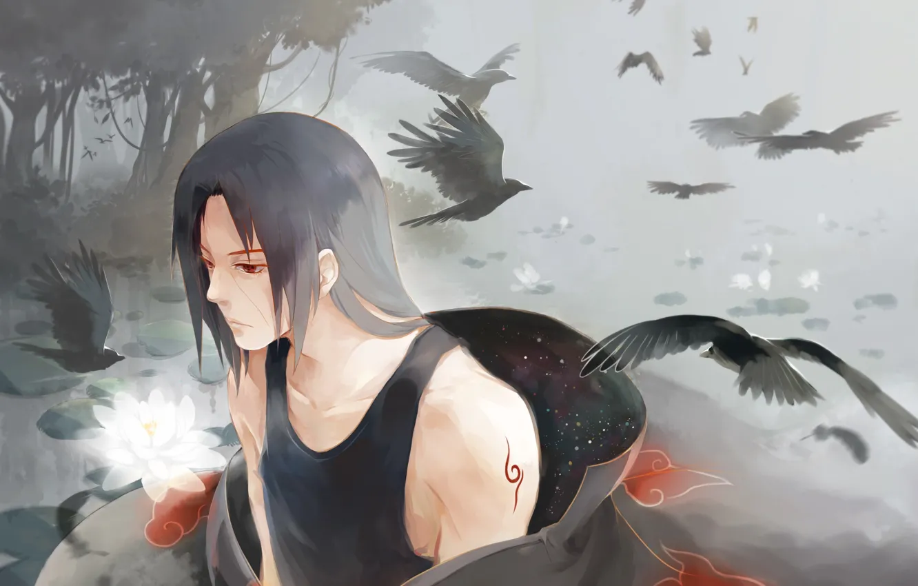 Photo wallpaper flowers, Lotus, crows, Naruto, art, Itachi Uchiha