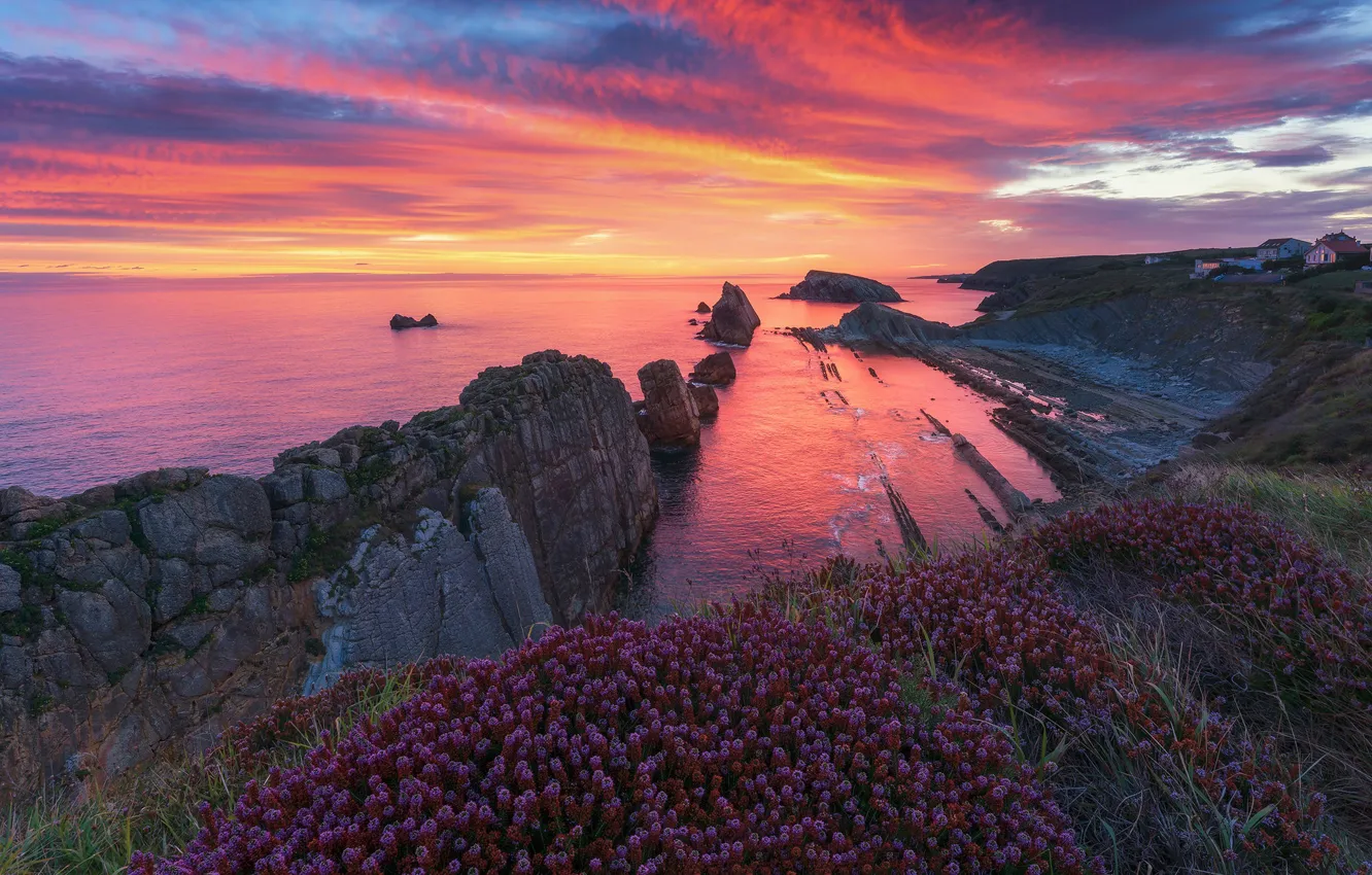 Photo wallpaper sea, the sky, clouds, sunset, flowers, stones, rocks, shore