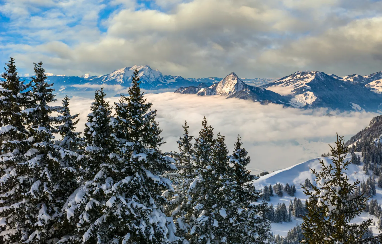 Photo wallpaper winter, clouds, trees, landscape, mountains, nature, Switzerland, ate