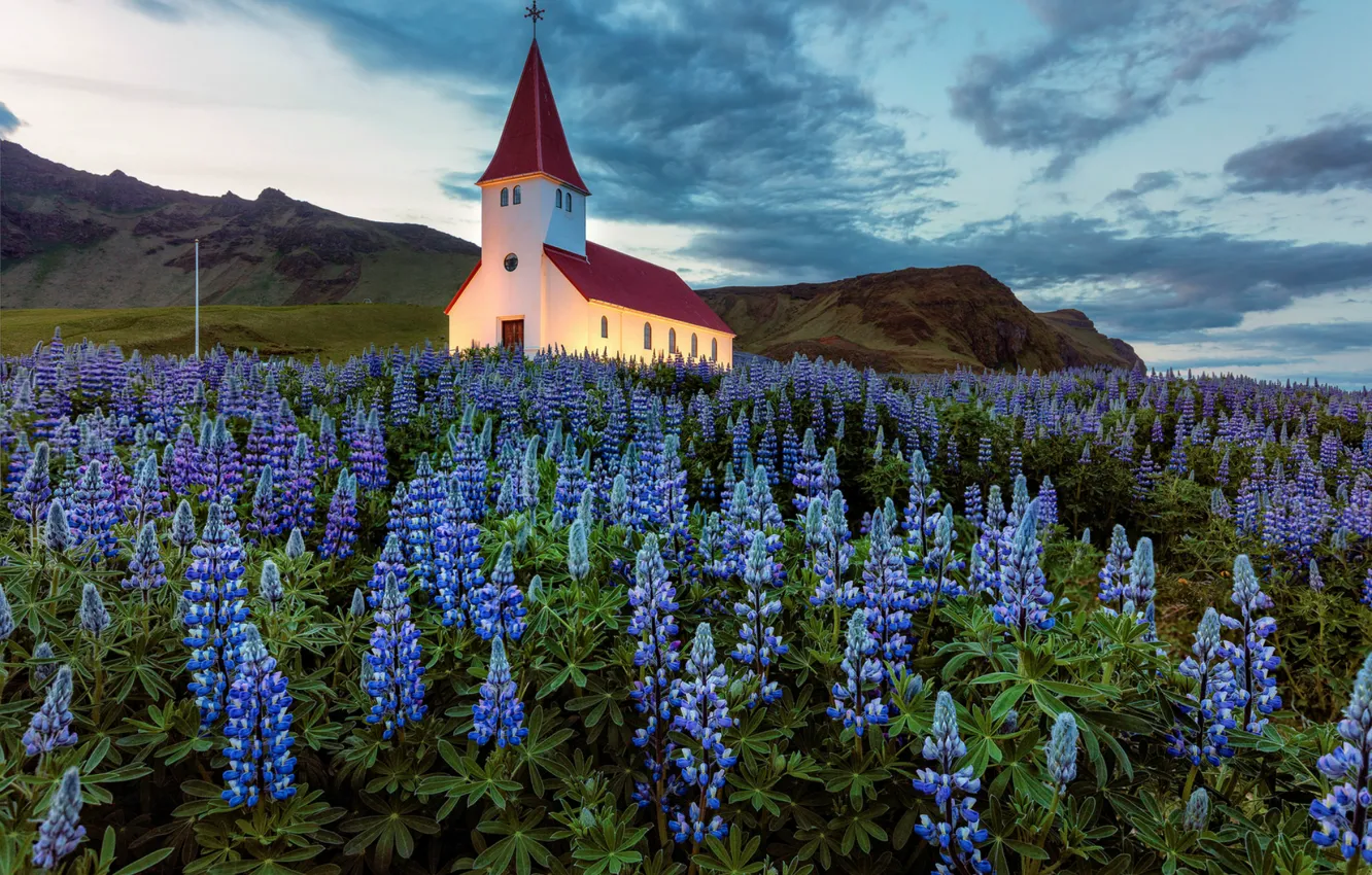 Photo wallpaper the sky, clouds, flowers, glade, the evening, backlight, Iceland, Church