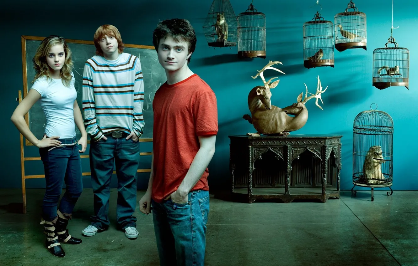 Photo wallpaper Harry Potter, Emma Watson, Emma Watson, Daniel Radcliffe, Harry Potter, Hermione Granger, Daniel Radcliffe, Rupert …