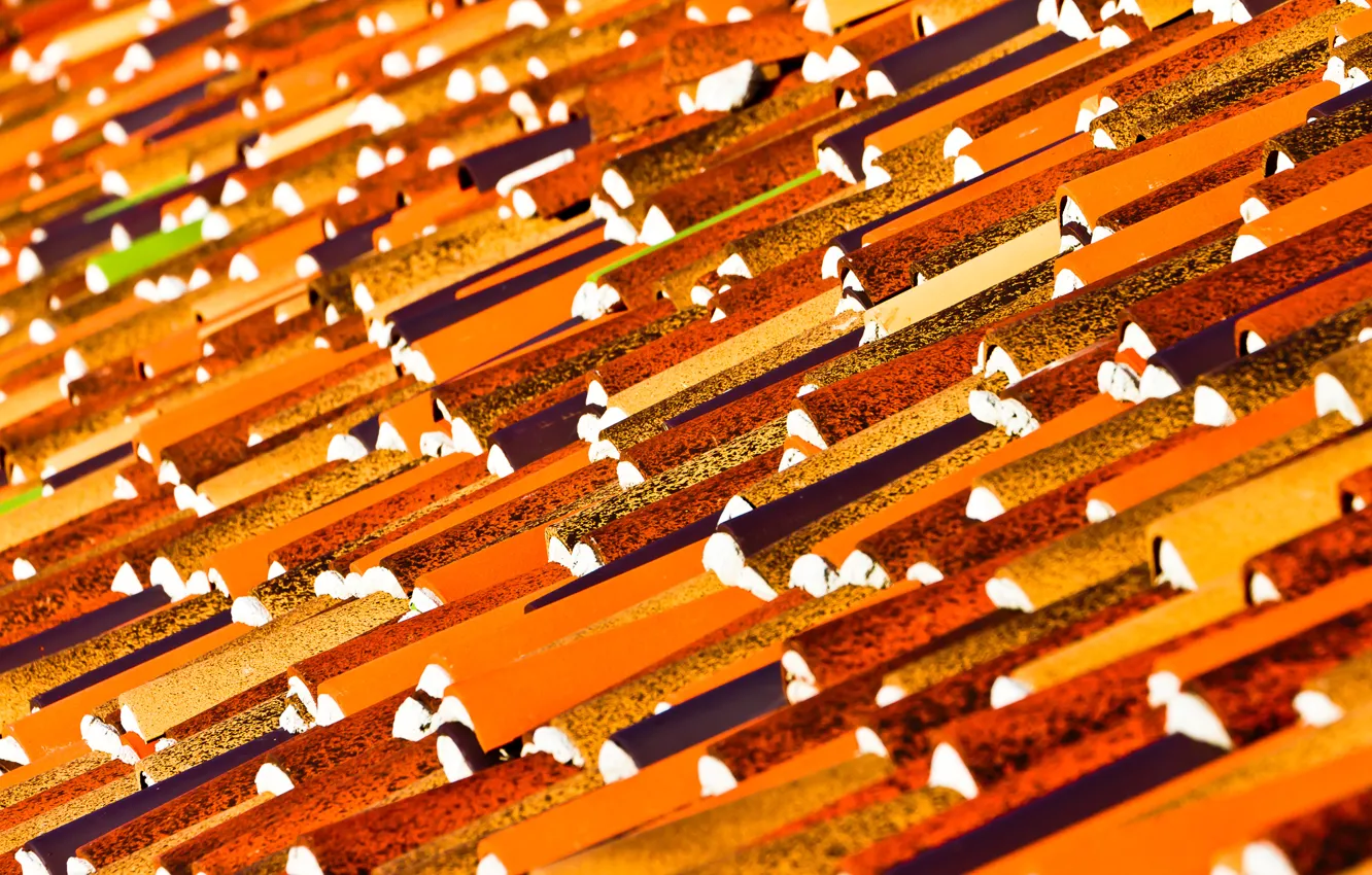 Photo wallpaper roof, tile, roof