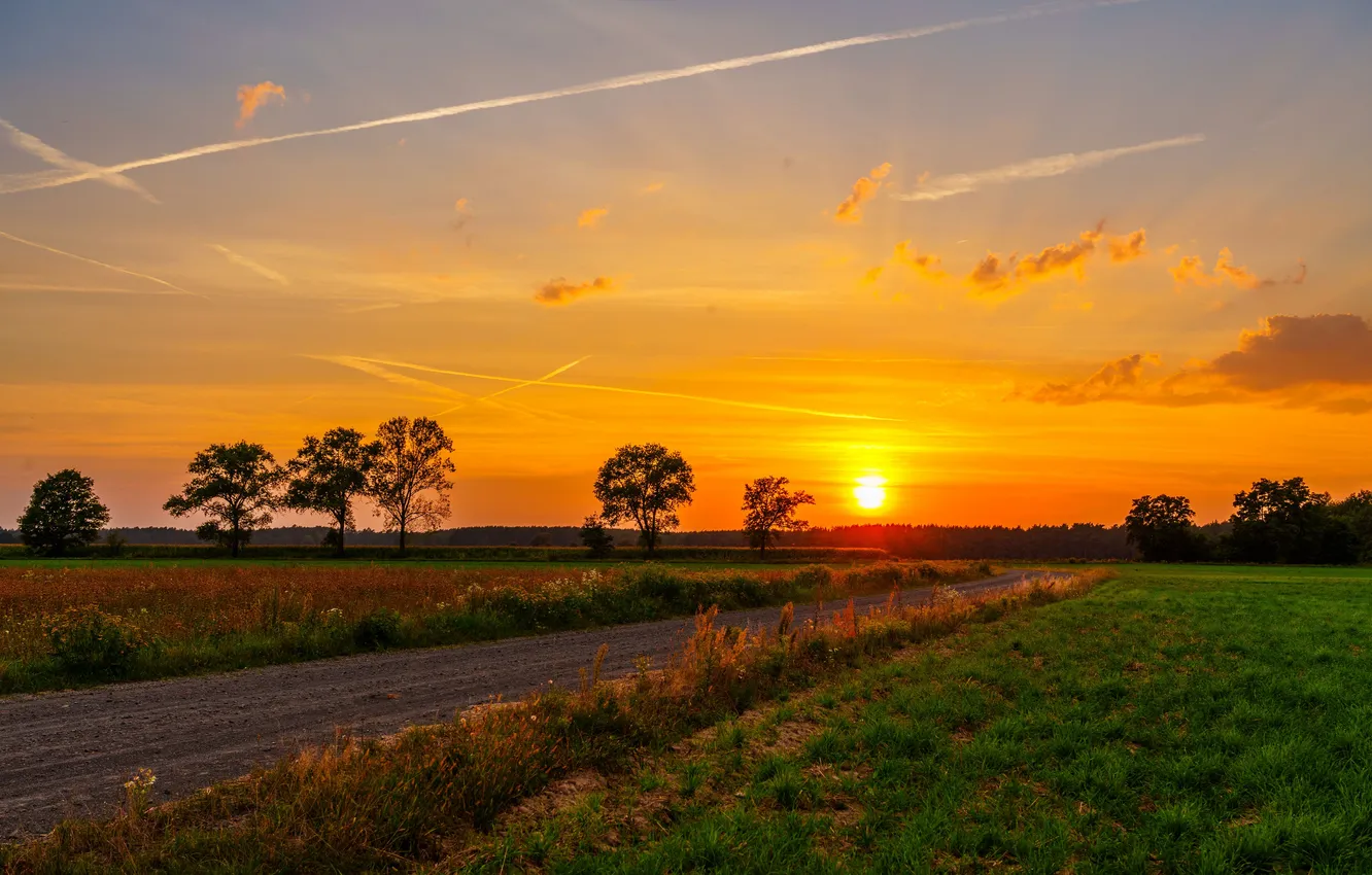 Photo wallpaper summer, road, landscape, sunset, three, goldenhour
