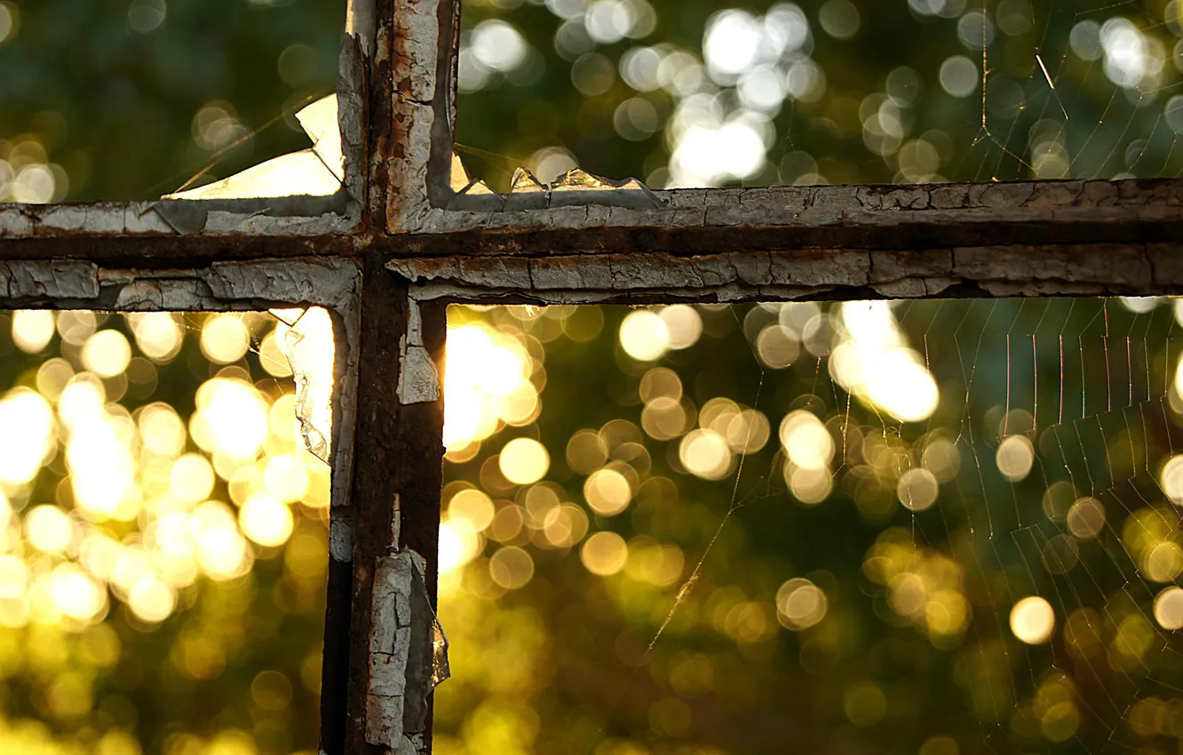 Photo wallpaper glass, window, bokeh