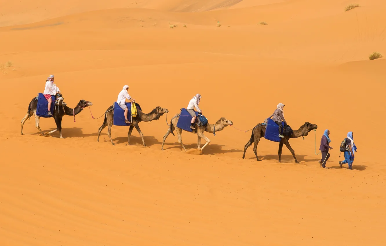 Photo wallpaper sand, the dunes, desert, camel, caravan, Bedouin