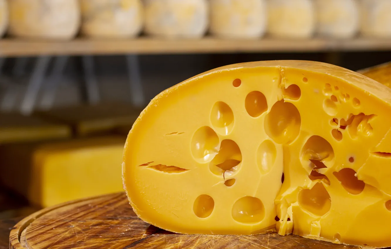 Photo wallpaper yellow, food, cheese, holes, halves, piece, bokeh, shelves