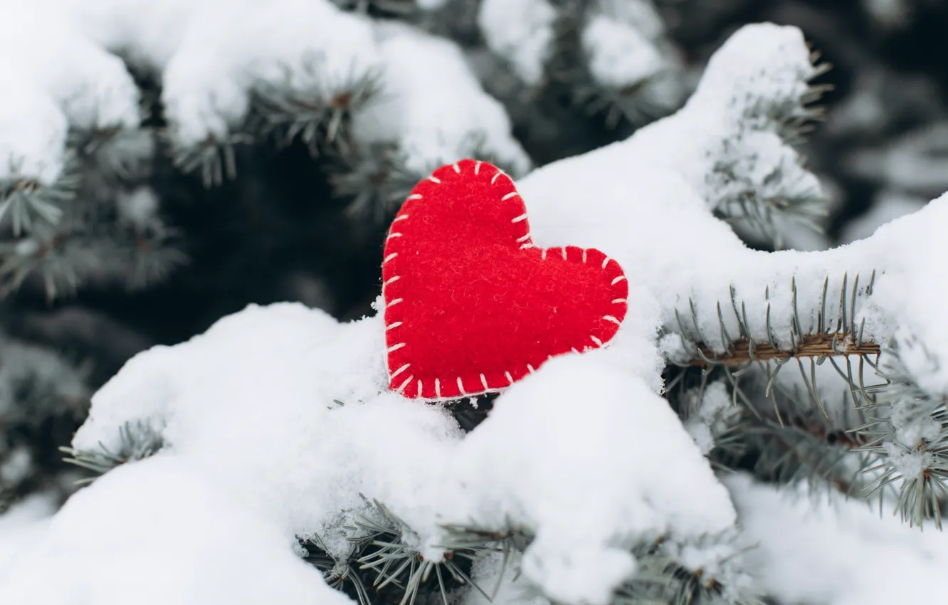 Photo wallpaper winter, snow, love, heart, tree, red, love, heart