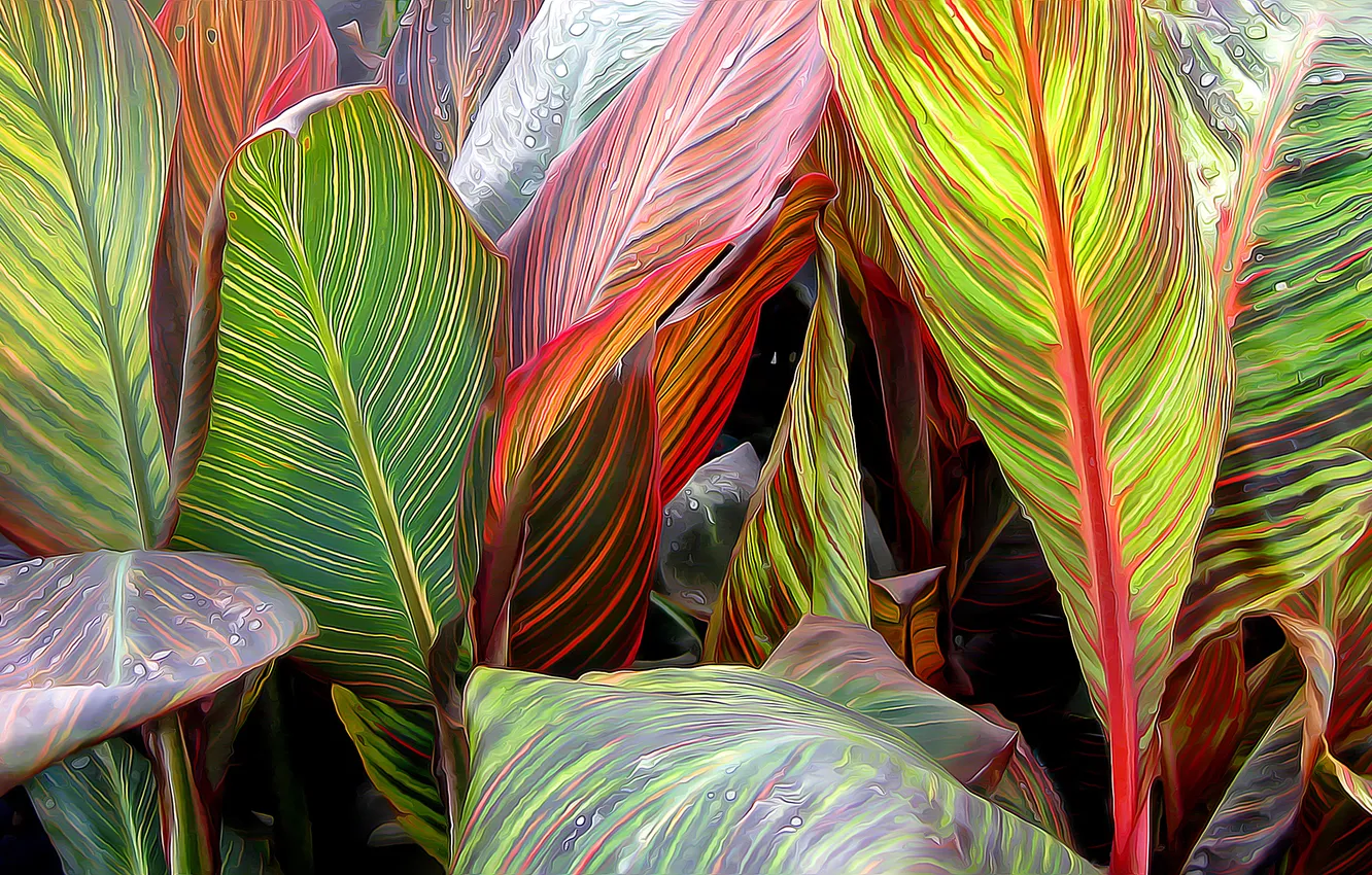 Photo wallpaper leaves, macro, rendering, plant