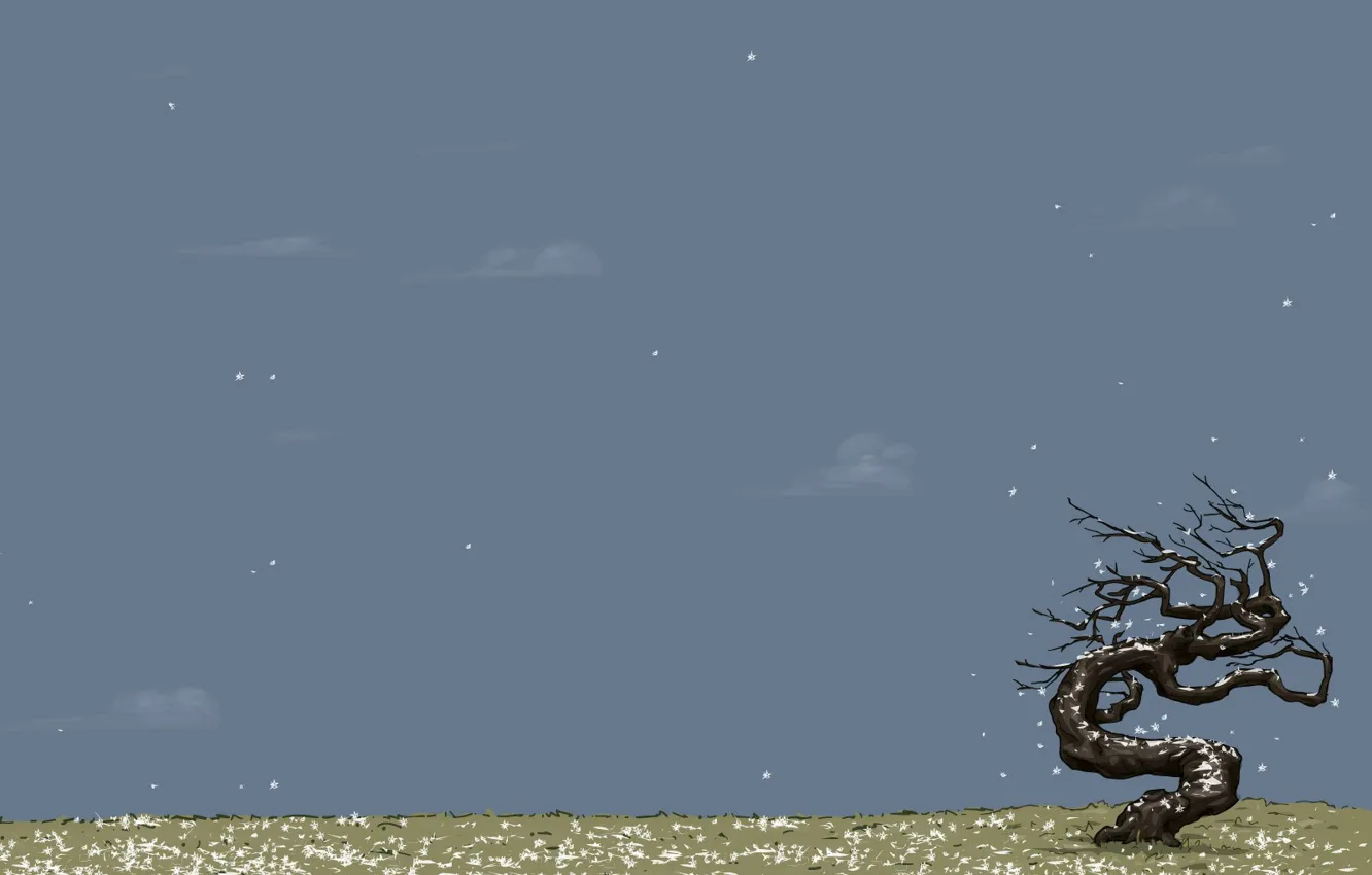 Photo wallpaper snow, trees, minimalism, vector