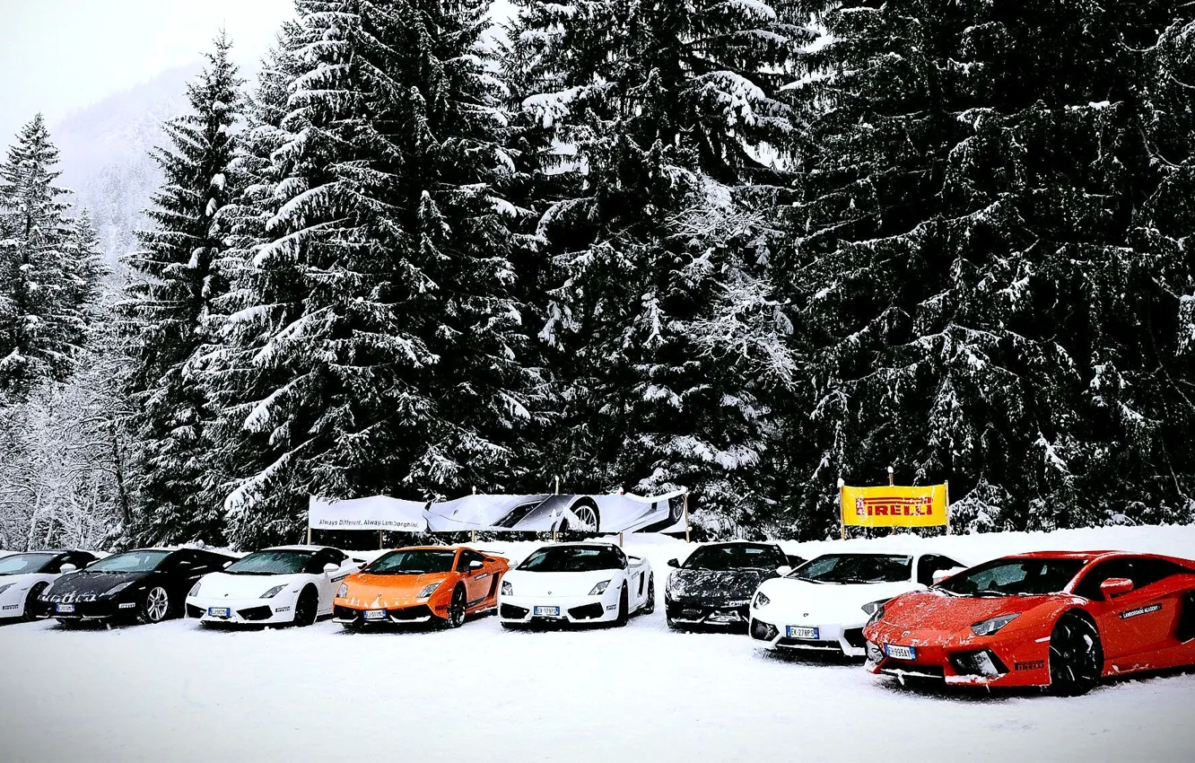 Photo wallpaper Lamborghini, Gallardo, cars, snow, Aventador, mix