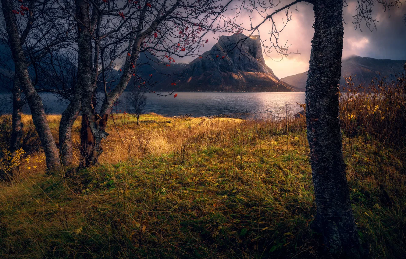 Photo wallpaper autumn, mountains, tree, shore, foliage, pond