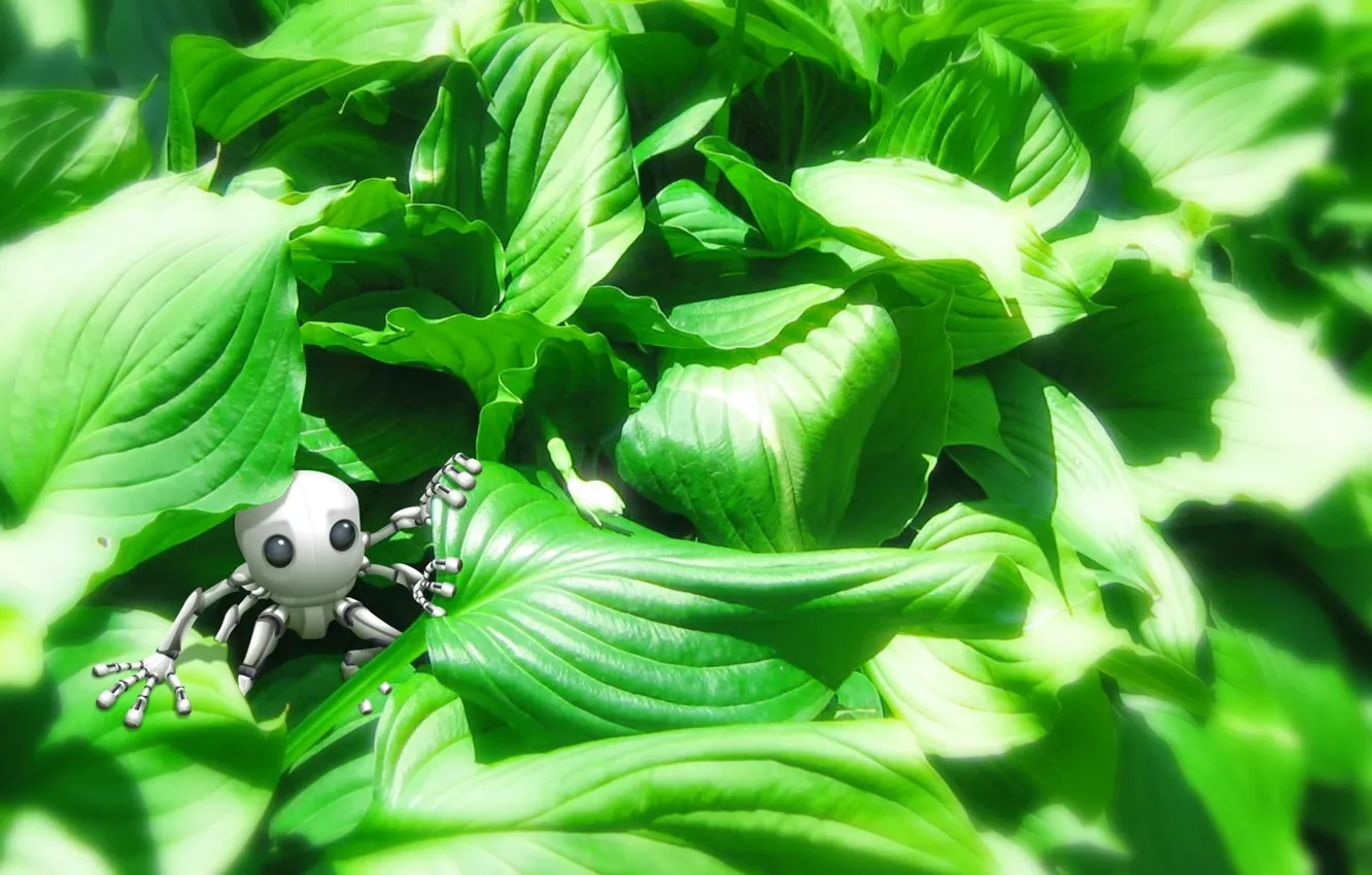 Photo wallpaper greens, grass, toy, wallpaper