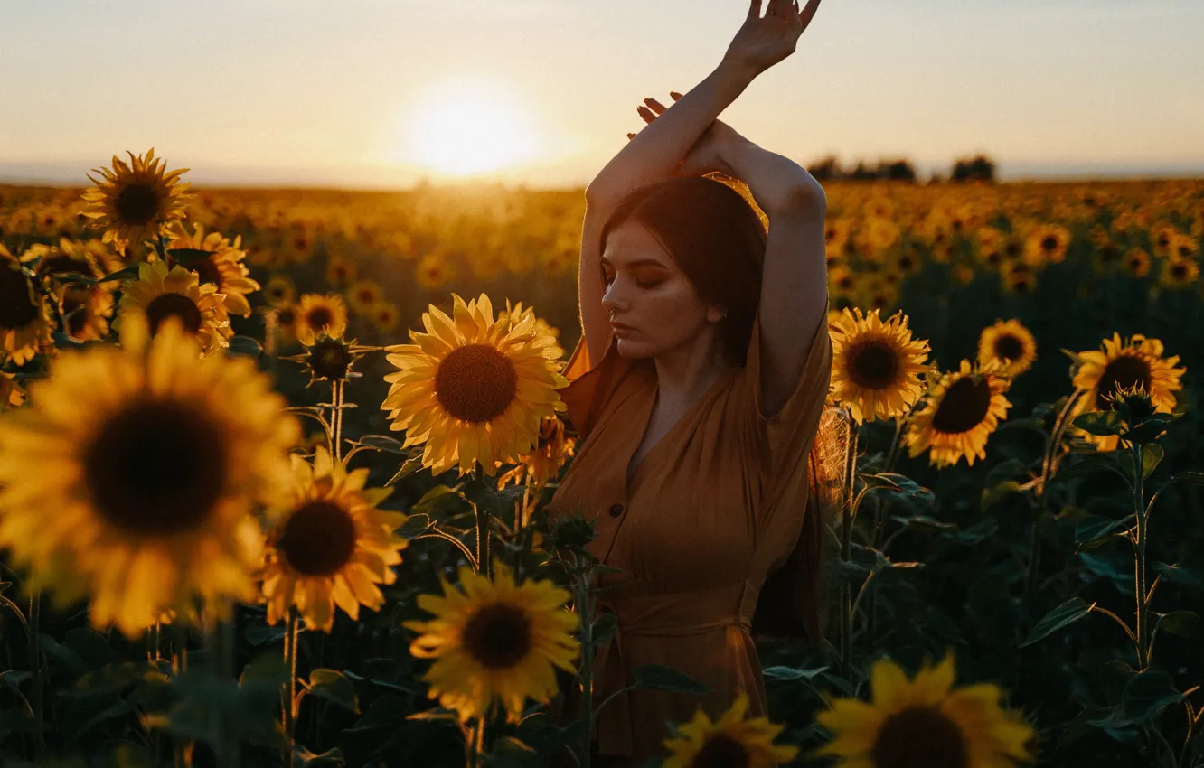 Photo wallpaper field, summer, girl, sunflowers, sunset, pose, mood, hands
