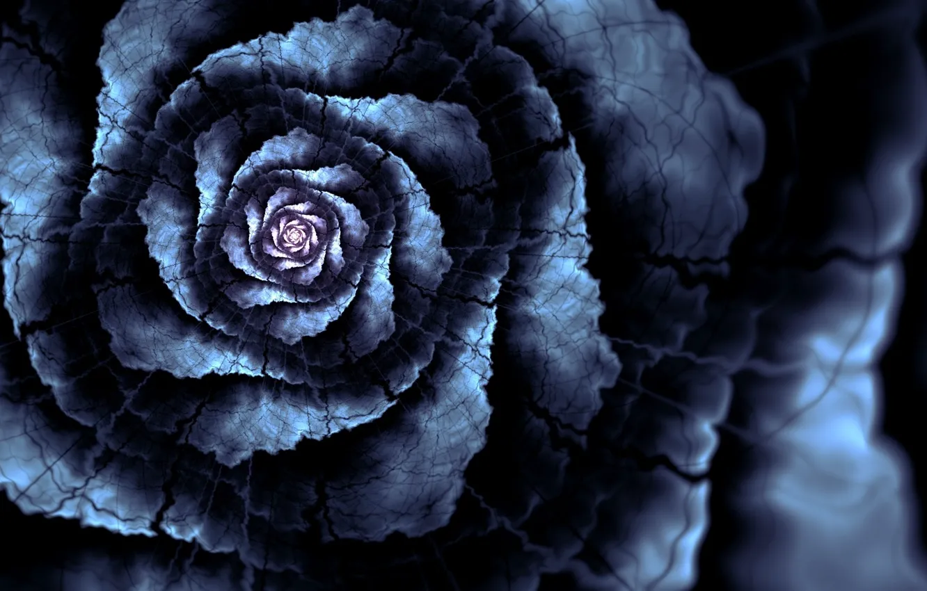 Photo wallpaper line, flowers, cracked, petals, art