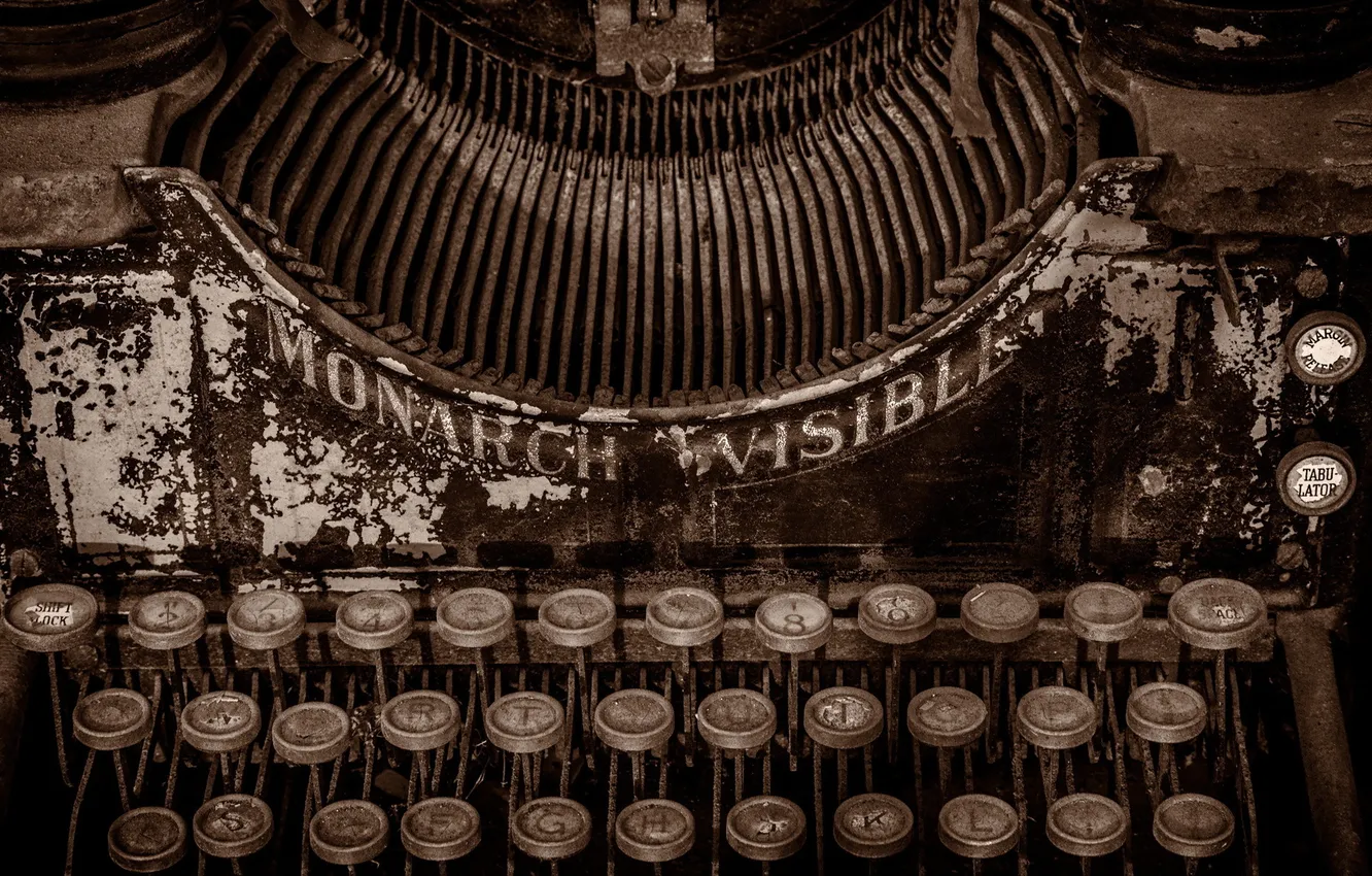 Photo wallpaper macro, Typewriter, Monarch