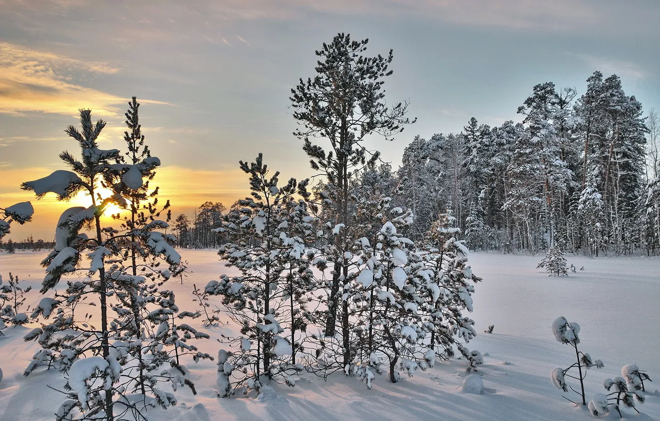 Photo wallpaper winter, snow, landscape