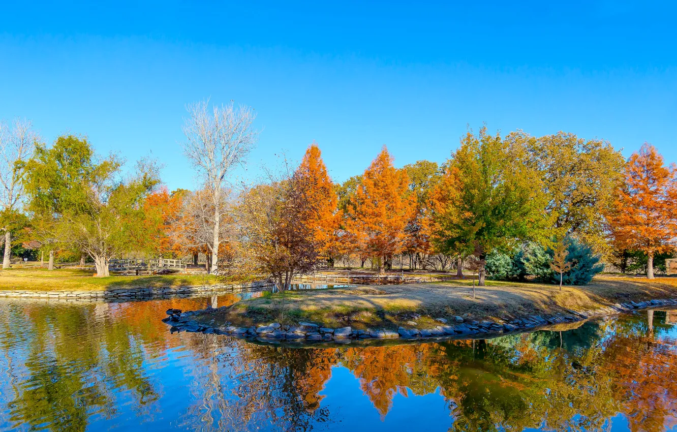 Photo wallpaper leaves, trees, pond, USA, Texas, Clark Gardens, Botanical Park, a crimson autumn