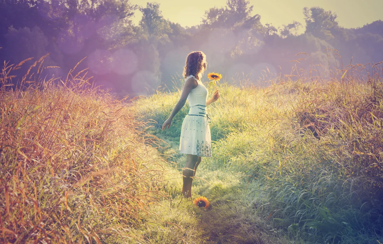 Photo wallpaper field, grass, girl, light, sunflowers