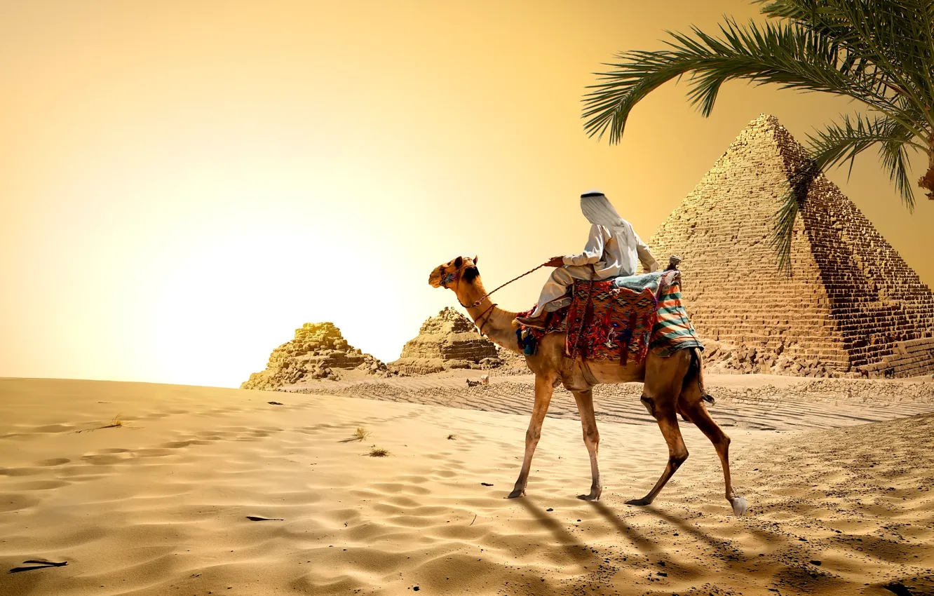 Photo wallpaper sand, the sky, the sun, Palma, stones, desert, heat, camel