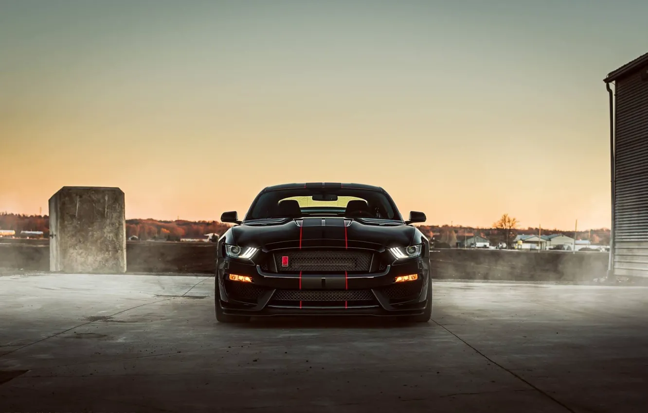 Photo wallpaper Mustang, Ford, Shelby, Black, Night, 2016, GT350r