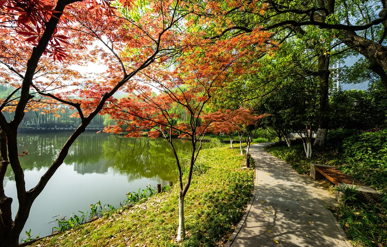 Photo wallpaper autumn, the sun, trees, pond, Park, shop, track, China
