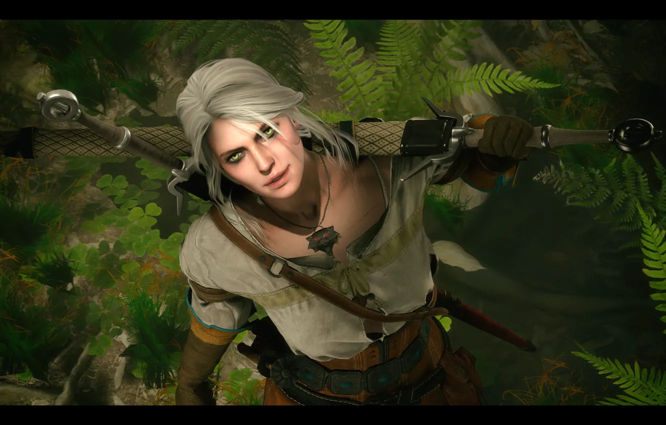 Photo wallpaper sword, swallow, swords, The Witcher 3 Wild Hunt, The Witcher 3 Wild Hunt, CRIS, Zirael, …