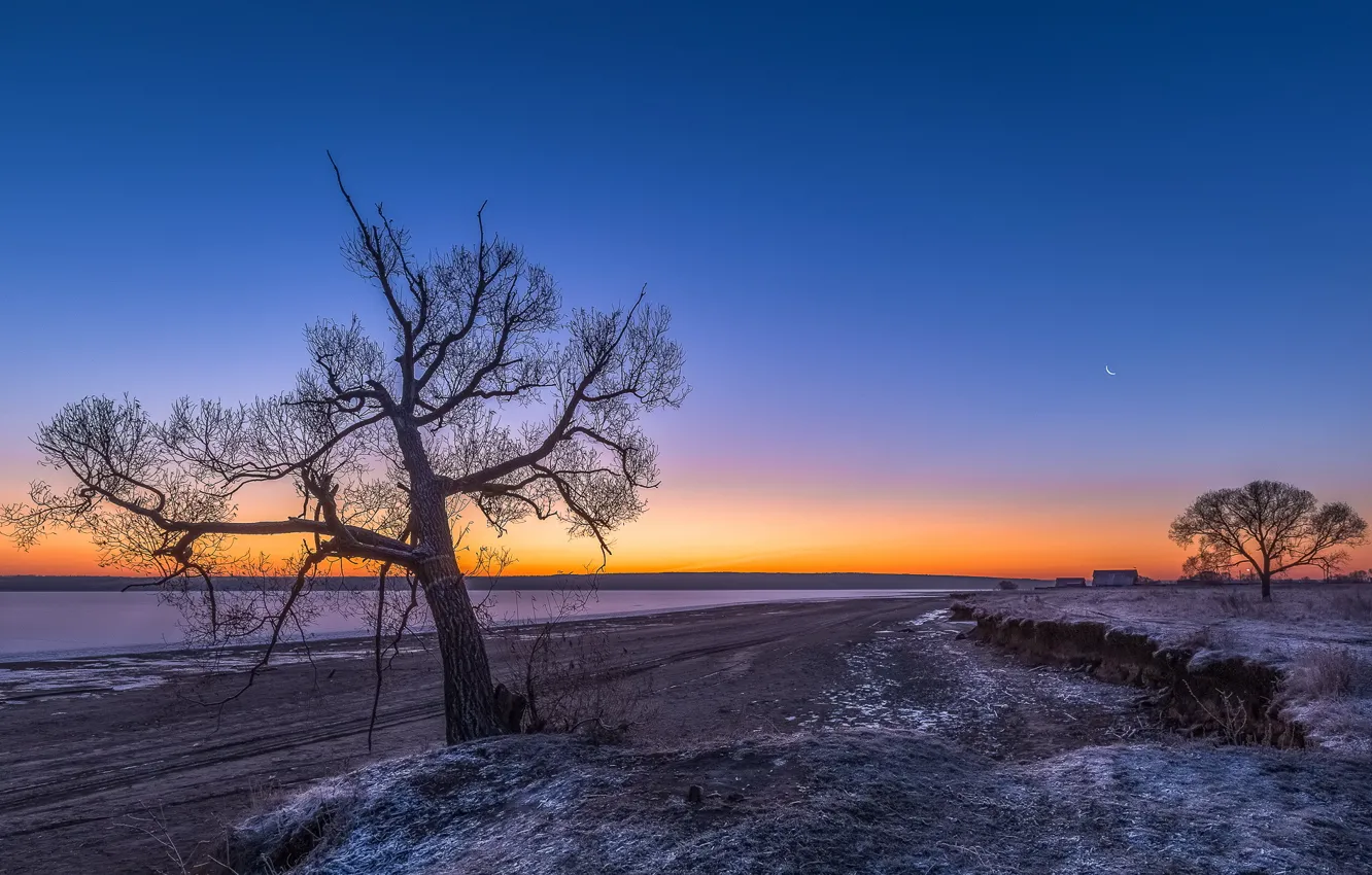 Photo wallpaper trees, landscape, sunset
