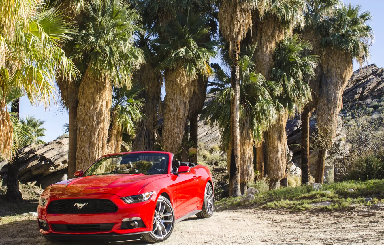 Photo wallpaper Mustang, Ford, Mustang, Ford, Convertible, 2014