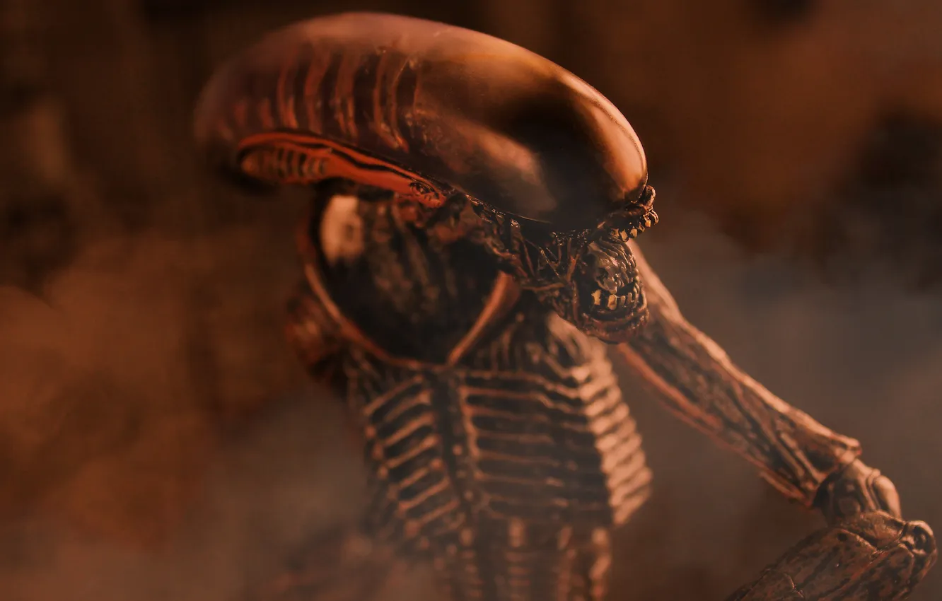 Photo wallpaper toy, being, Stranger, figurine, alien, thing, Xenomorph, xenomorph