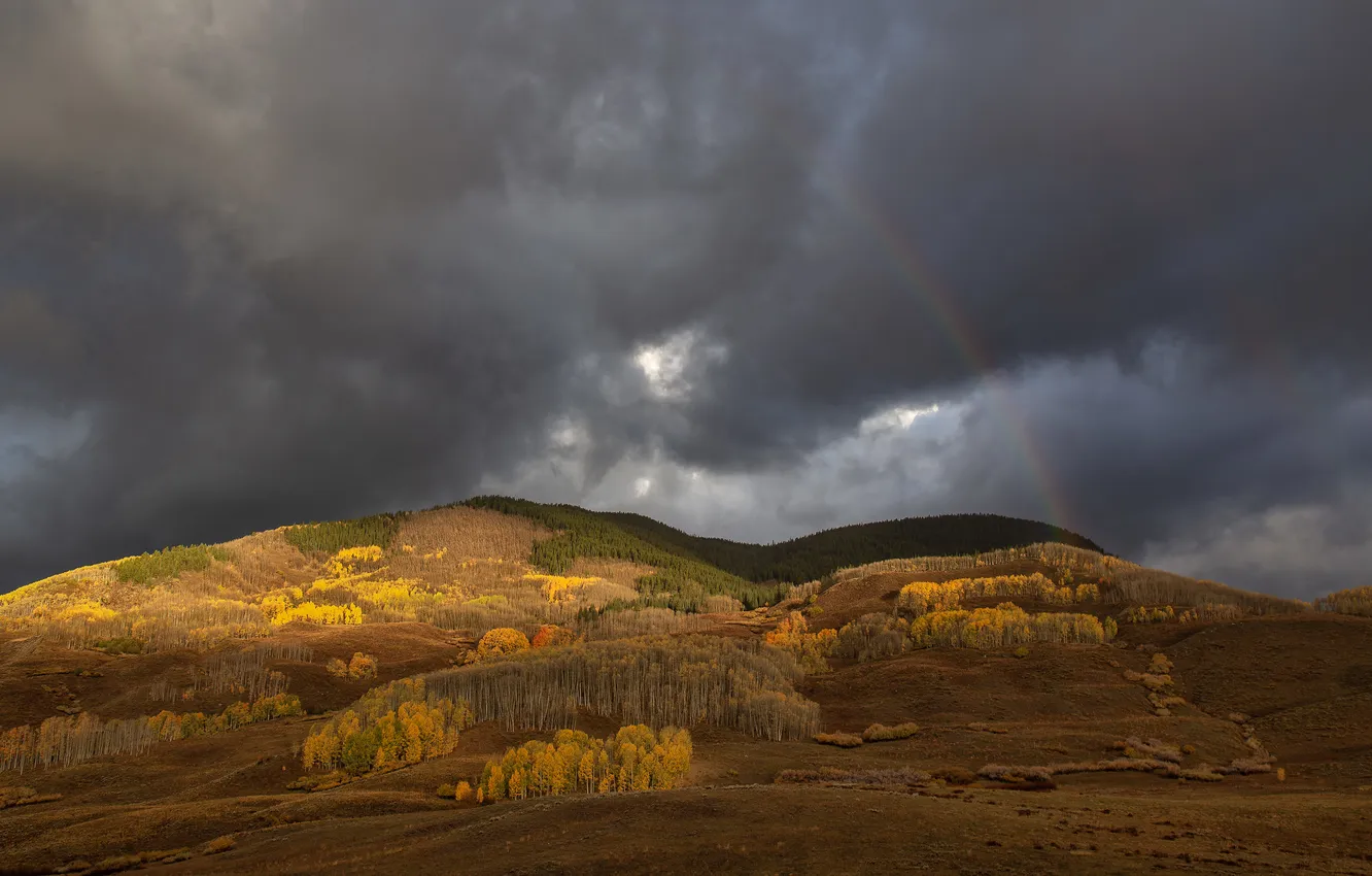Photo wallpaper field, autumn, forest, mountains, clouds, rainbow