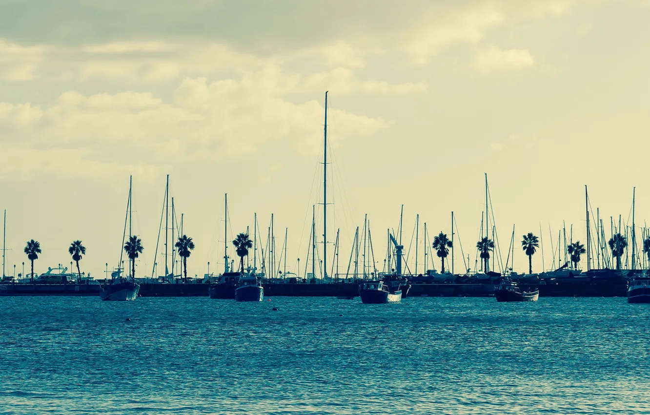 Photo wallpaper Marina, yachts, morning, California, San Diego, sunrise, mast, sail boats