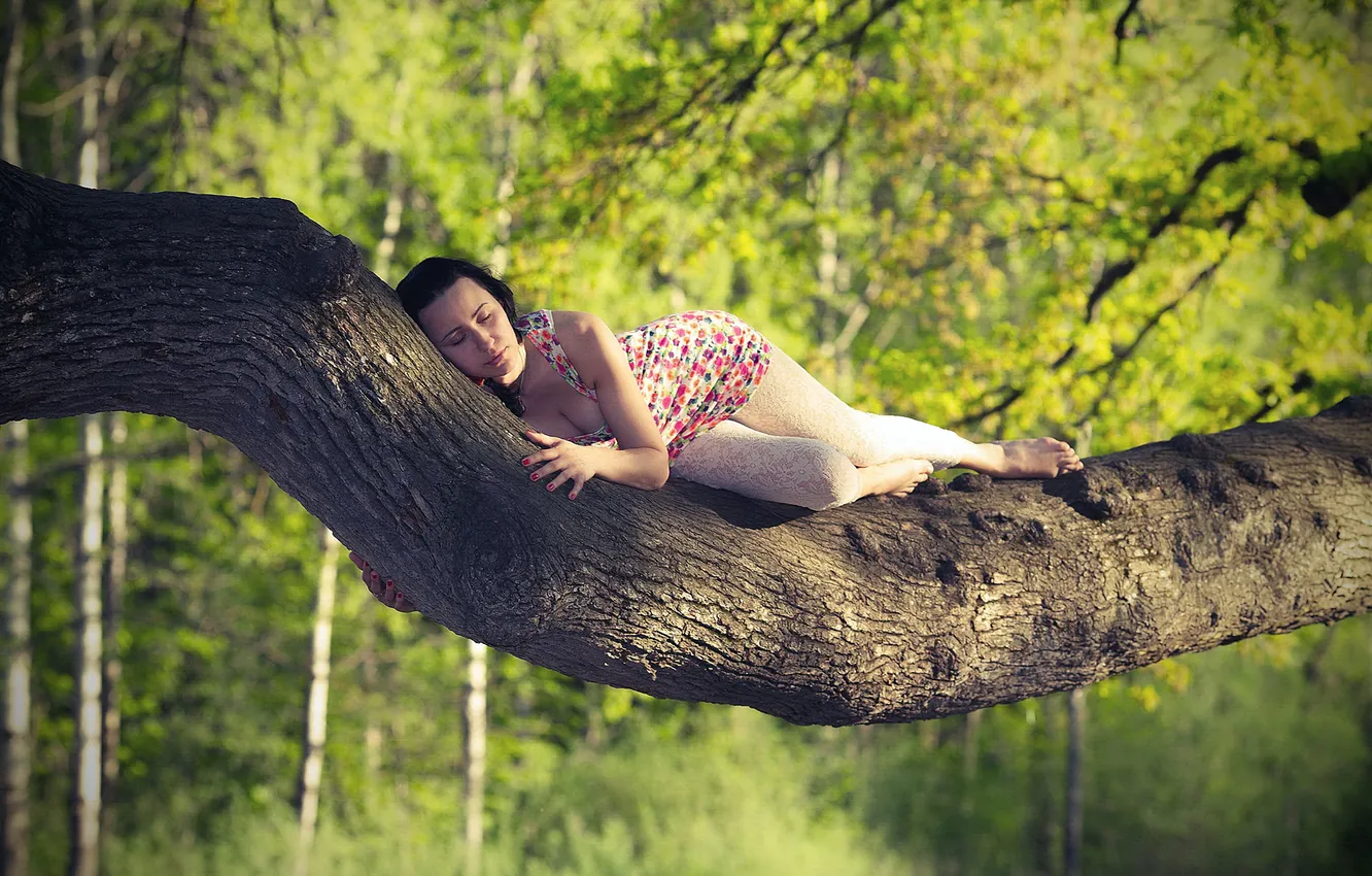 Photo wallpaper forest, trees, branches, brunette