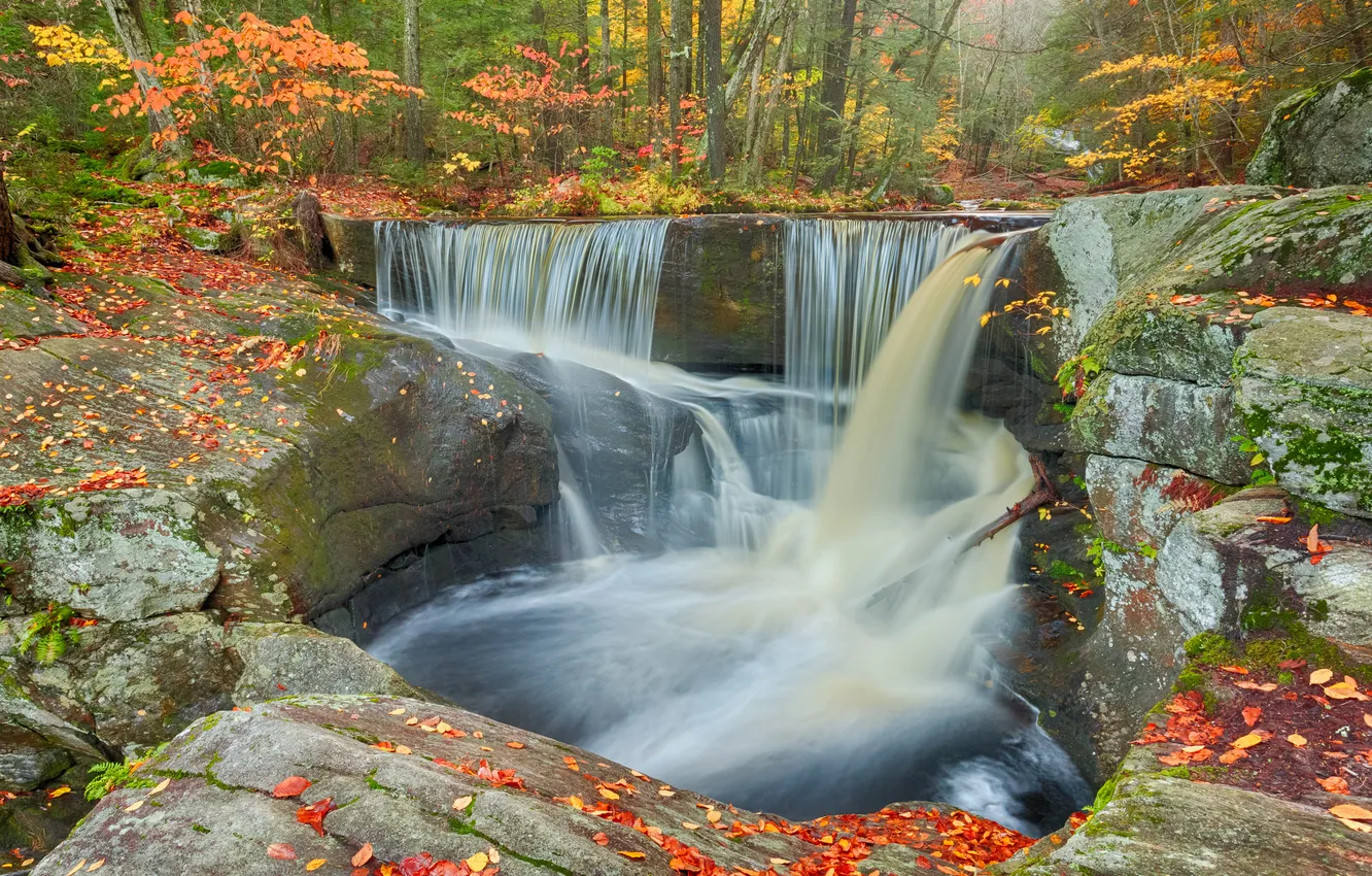 Photo wallpaper autumn, forest, leaves, stones, waterfall, stream, Connecticut, Connecticut