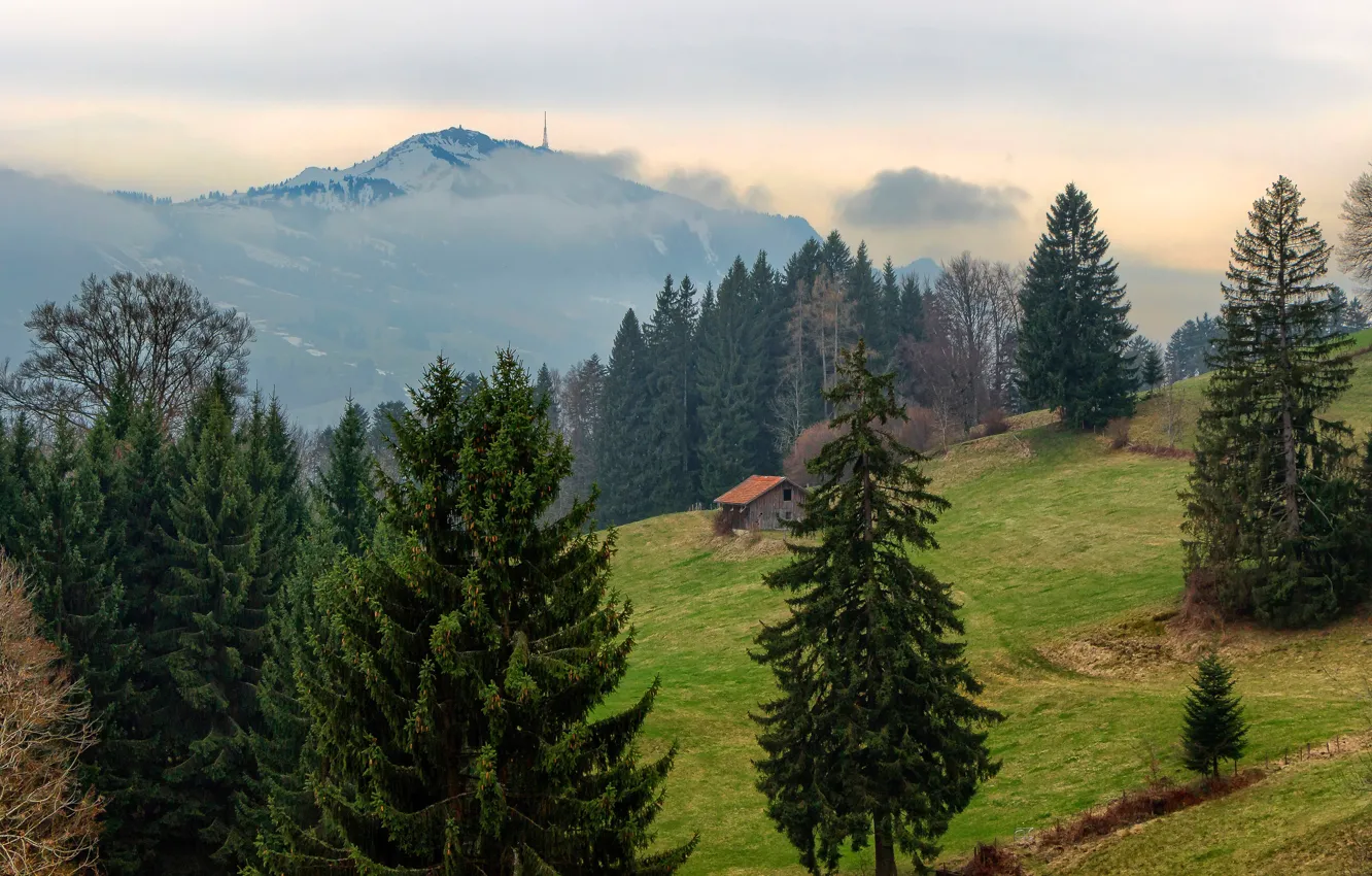 Photo wallpaper forest, trees, mountains, fog, Germany, slope, Bayern, house