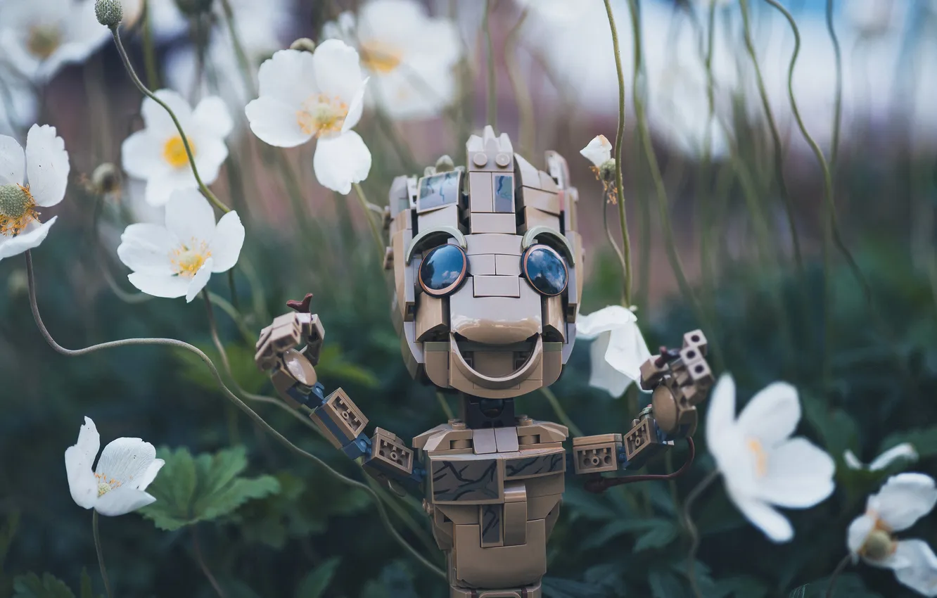 Photo wallpaper eyes, look, joy, flowers, smile, glade, toy, robot