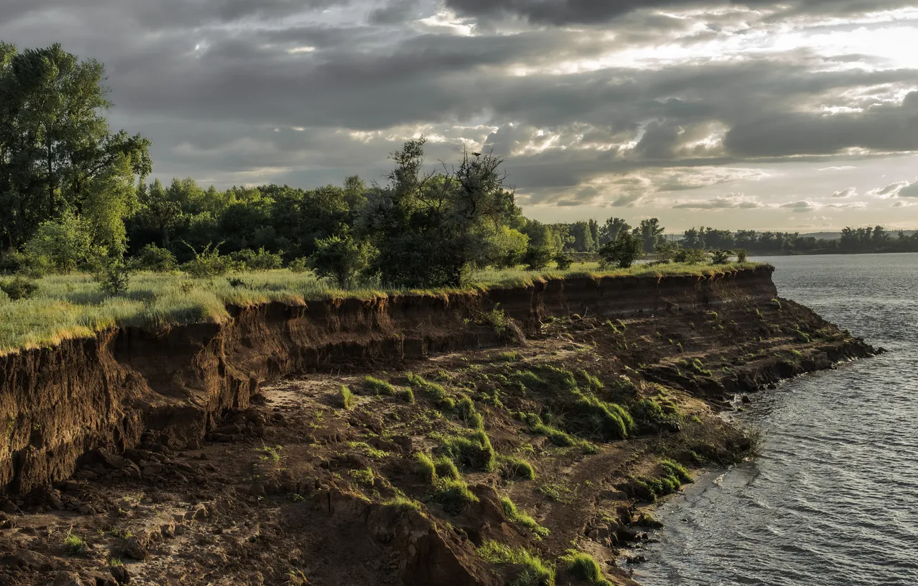 Photo wallpaper green, waves, river, water, moss