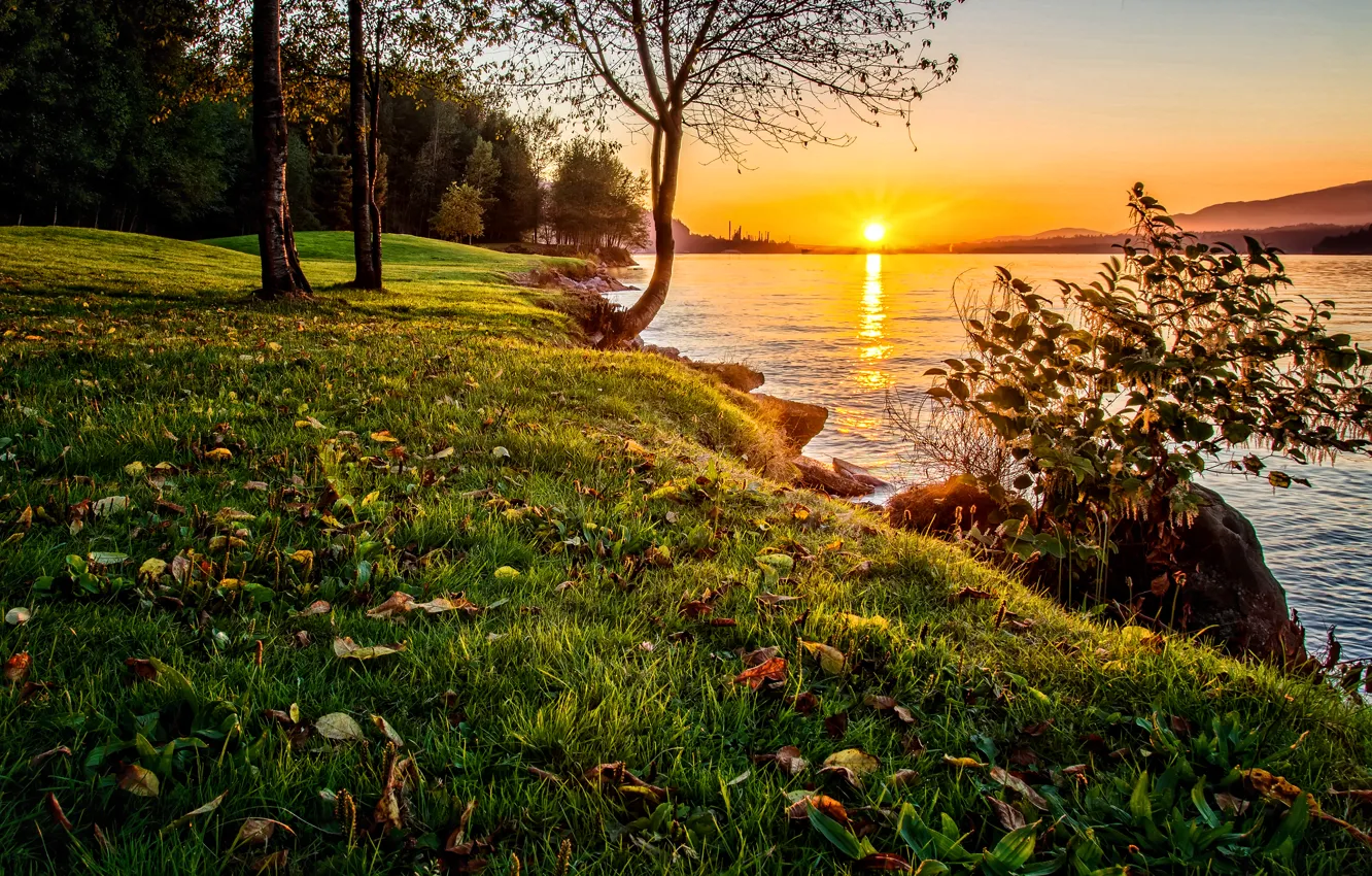 Photo wallpaper the sky, grass, trees, sunset, nature, lake, shore, sky
