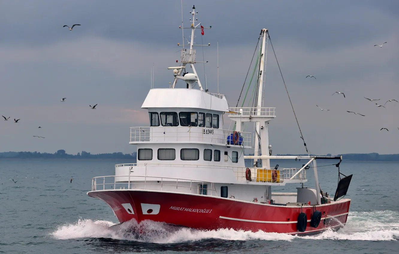 Photo wallpaper Turkey, fishing, seiner