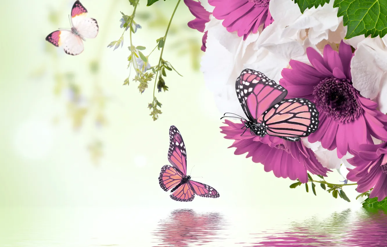 Photo wallpaper water, butterfly, reflection, spring, flowering, water, blossom, flowers