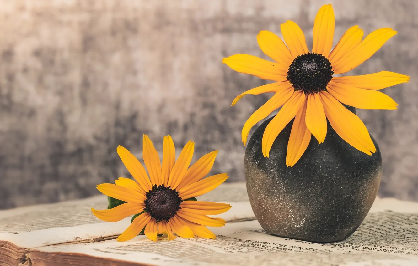 Photo wallpaper flowers, yellow, book, vase, rudbeckia
