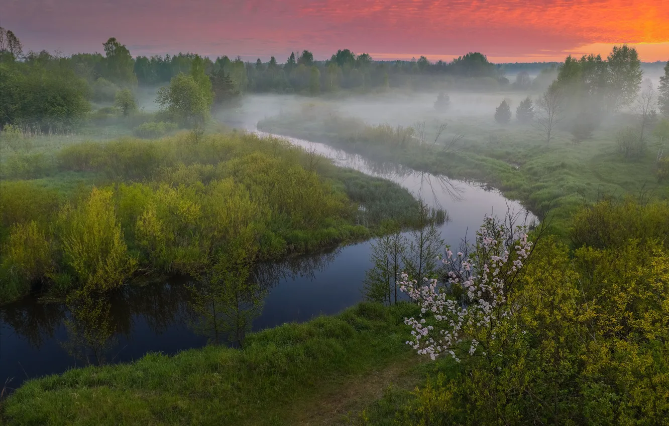 Photo wallpaper landscape, nature, fog, river, morning, Vladimir Ryabkov, Uzola