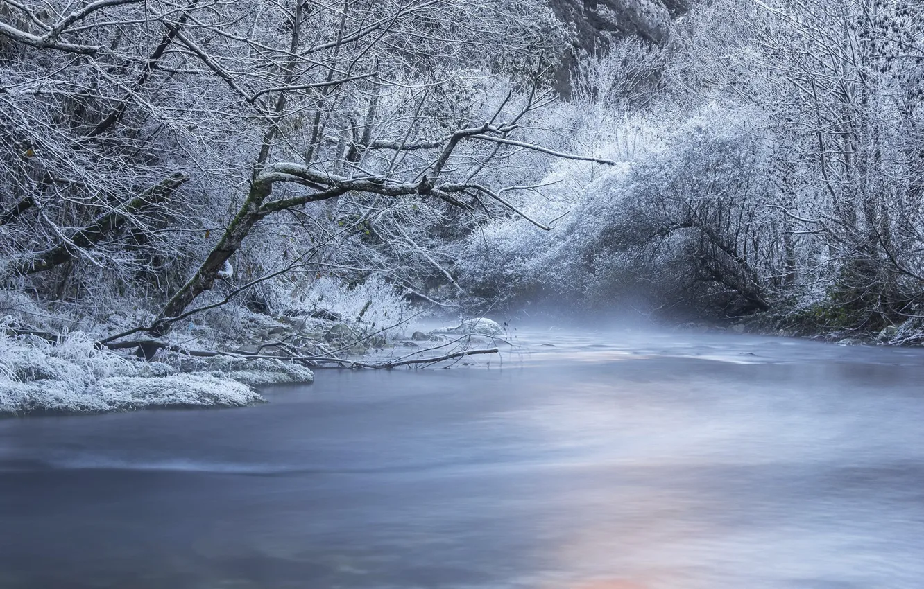 Photo wallpaper winter, forest, snow, trees, river