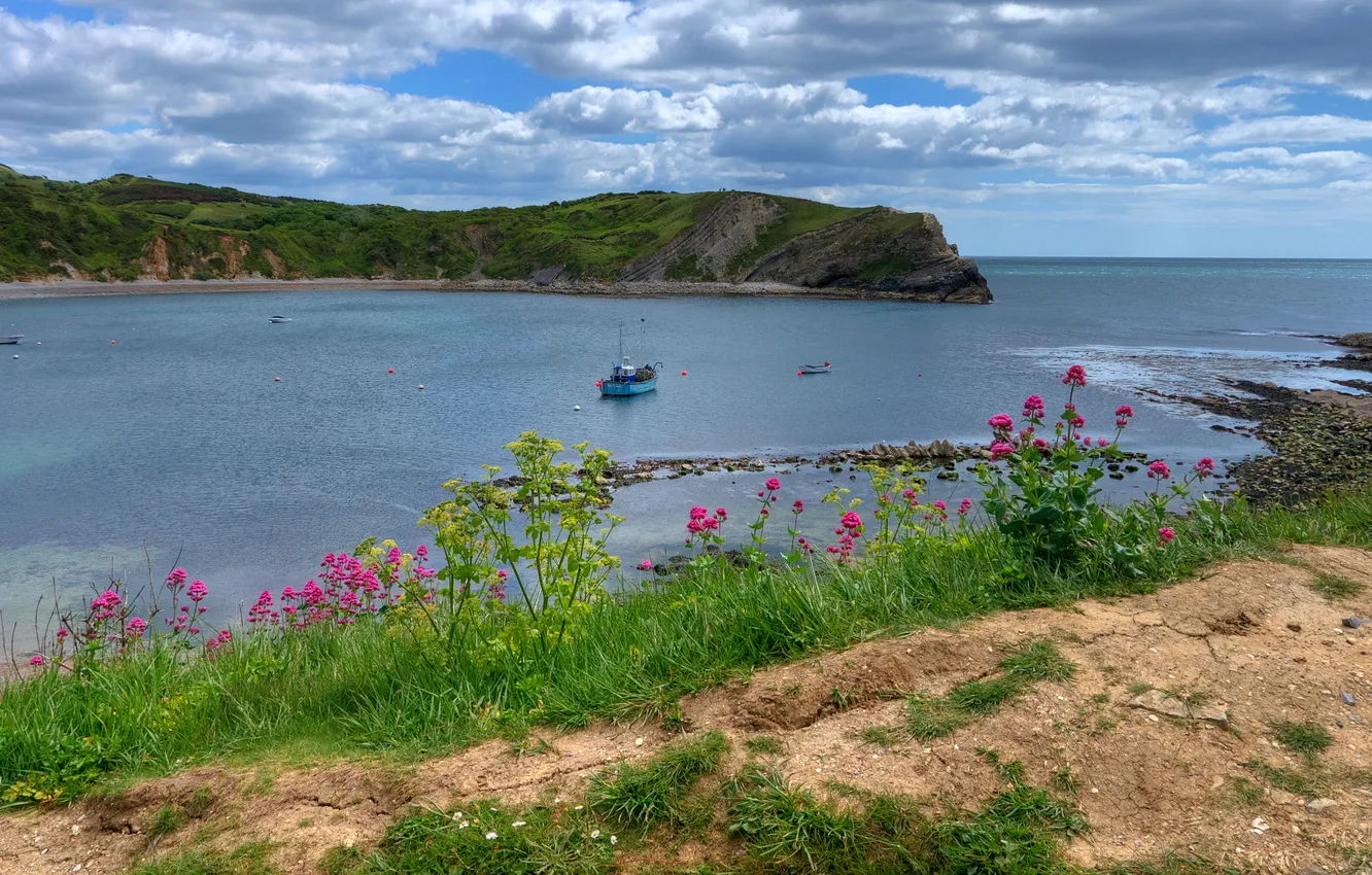 Photo wallpaper sea, landscape, Bay, Bay