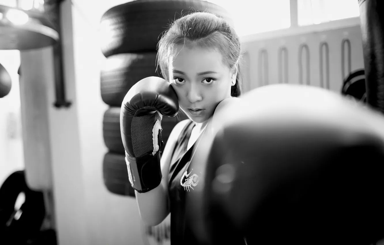 Photo wallpaper girl, sport, Boxing