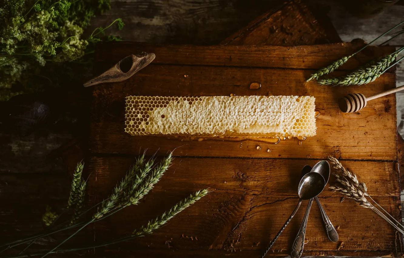 Photo wallpaper Board, cell, honey, ears