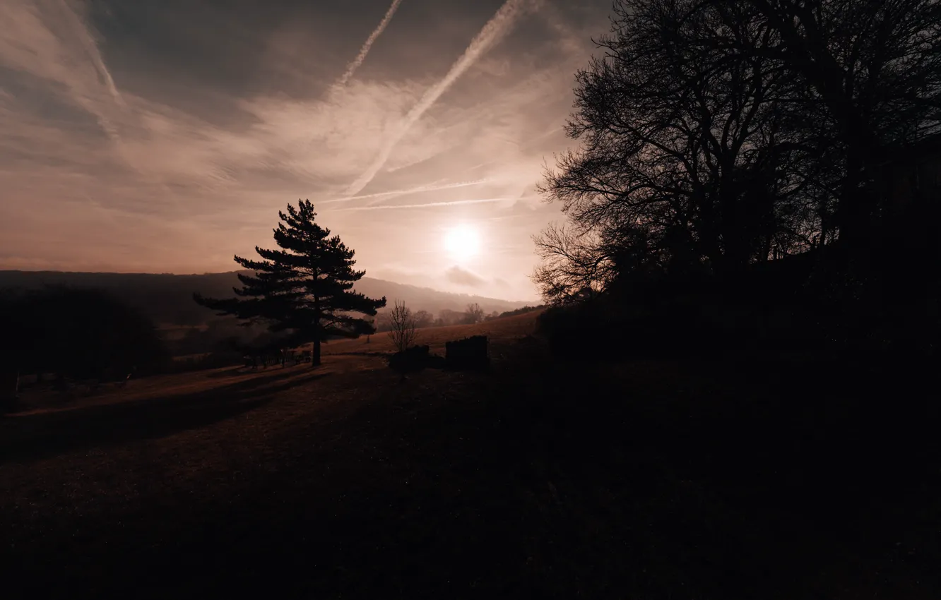 Photo wallpaper field, the sun, trees, sunset