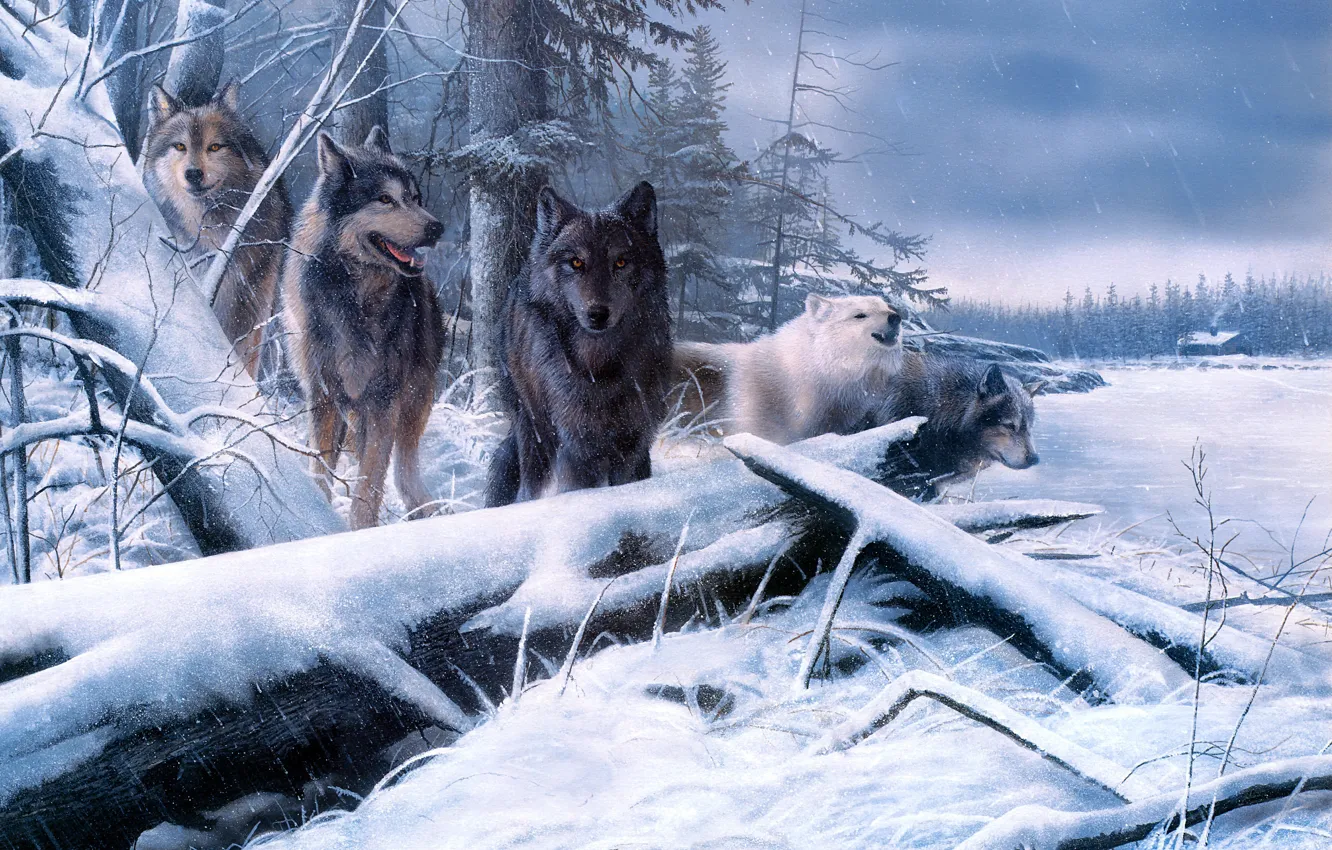 Photo wallpaper winter, field, forest, look, snow, branches, nature, figure