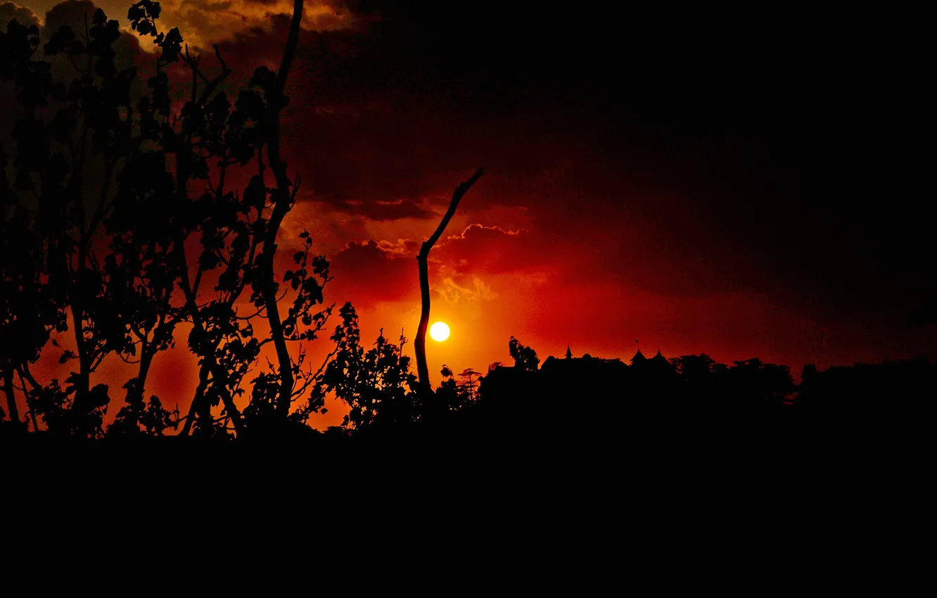 Photo wallpaper the sun, clouds, trees, sunset, silhouette